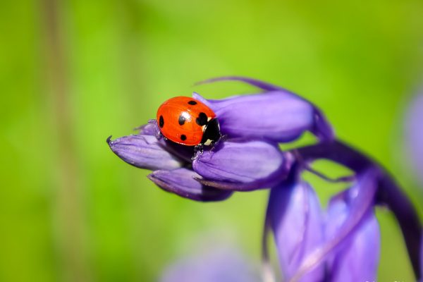 Stories by Ayaan Nature Photography